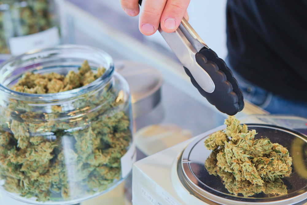 Understanding The Different Cannabis Extraction Methods | Cannabis ...