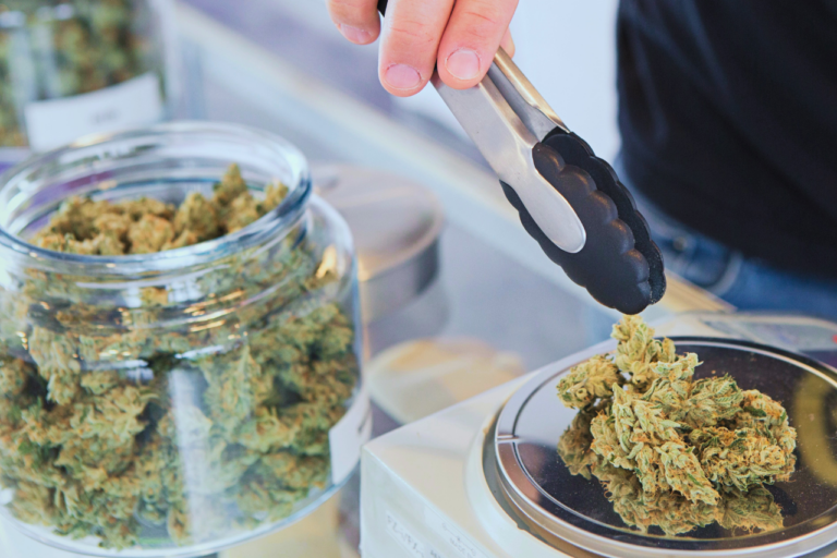how to become a budtender