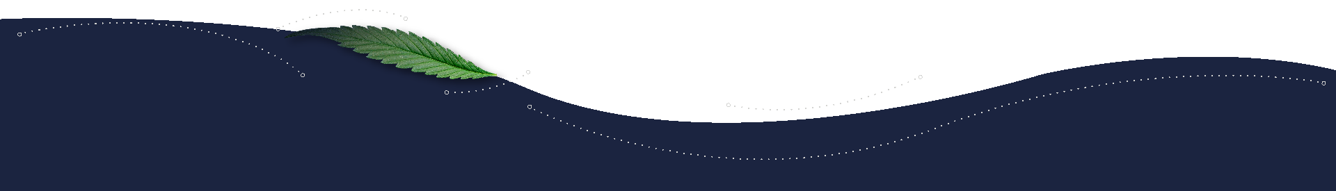 SectionBorder3.png